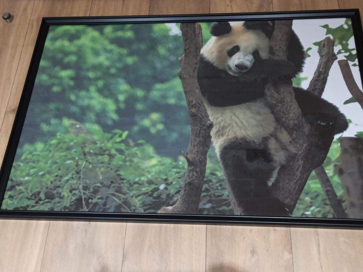 A 4 Min Du Zoo De Beauval La Maison A Partager Ch2 1Er Etage Сент-Эньян Экстерьер фото